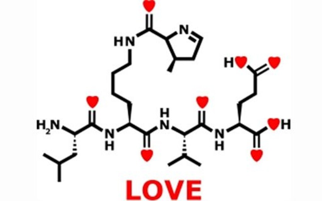 Love chemistry. Биохимия любви формула. Окситоцин гормон любви формула. Формула любви химическая формула. Формула любви химия формула.